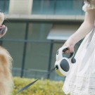 Alt-i-ett 5M Hundebånd | LED, Refleks, Poseholder | Bånd til hund thumbnail